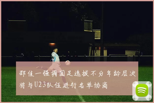 邵佳一强调国足选拔不分年龄层次将与U23队伍进行名单协商